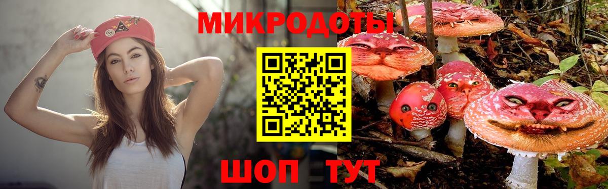 Михайловск  Галлюциногенные грибы Cubensis  Вход с VPN 